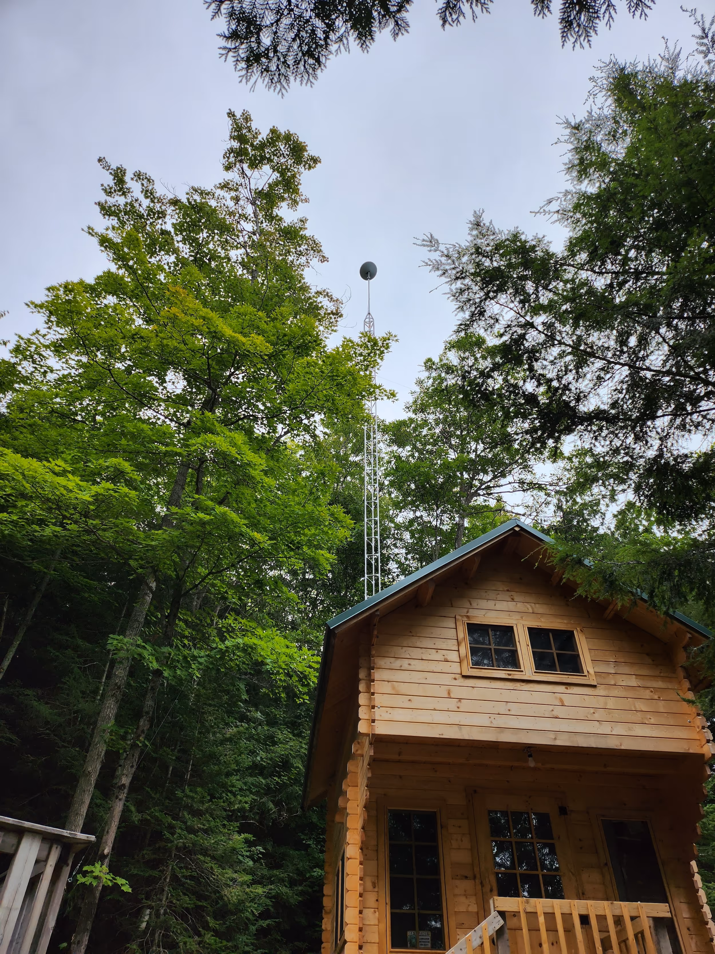 rustic cabin with a 50-foot starlink tower tucked away in the deep woods