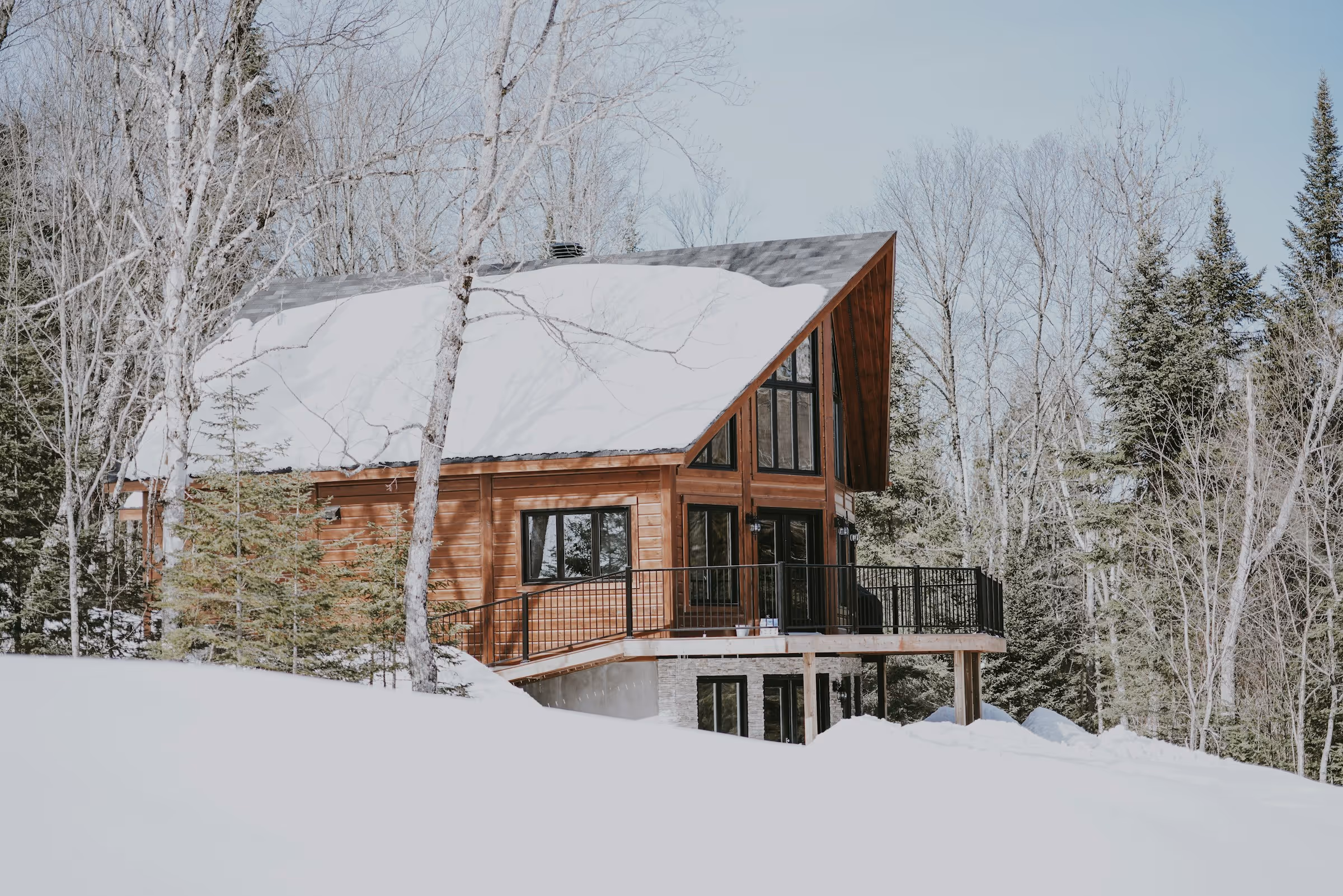 snowy cottage surrounded by trees