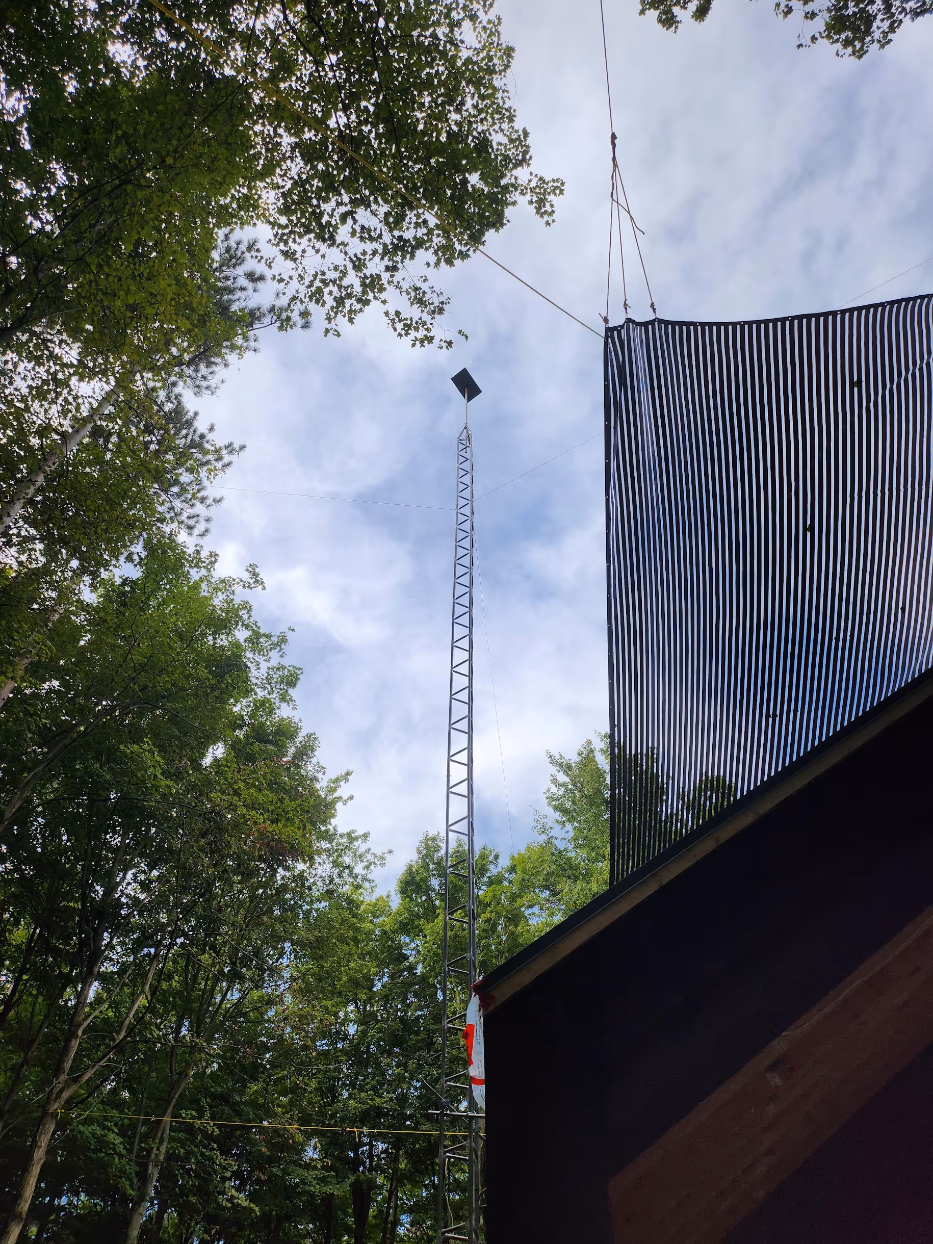 60-foot tower among tall trees