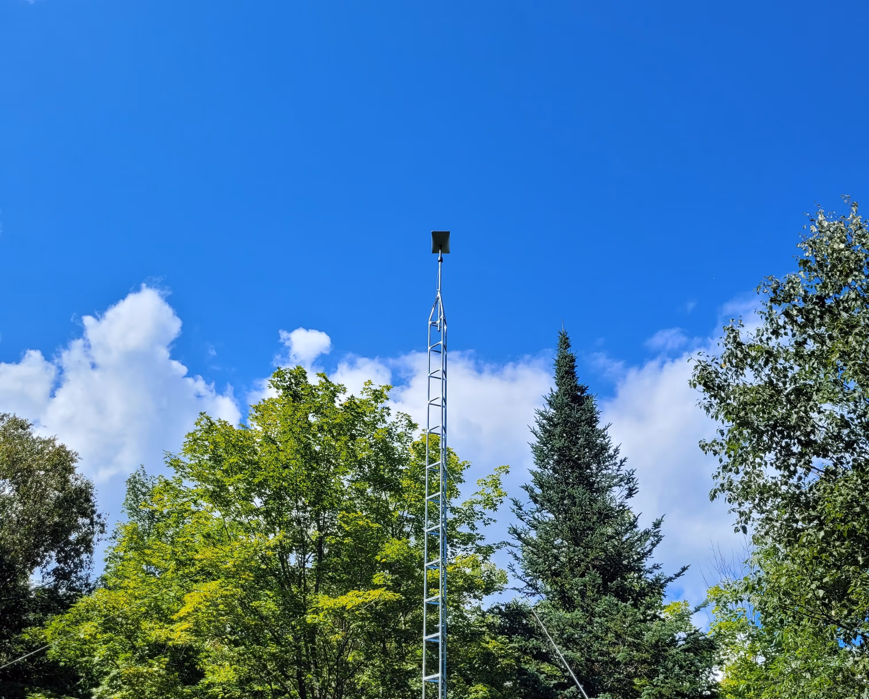 starlink tower among trees